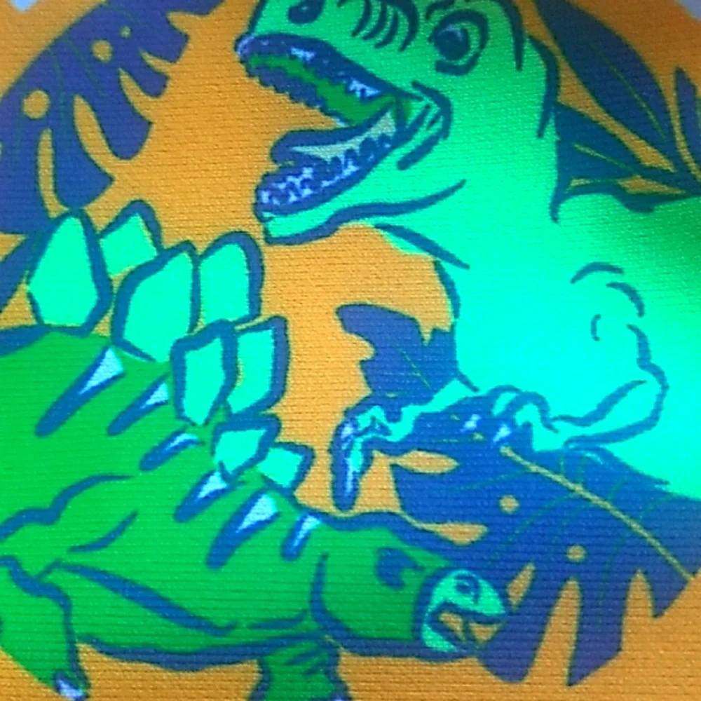 Dino swim shirt